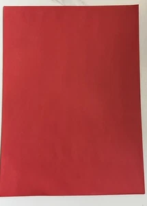9 x 12 Paper Mailing Envelopes Red Colored 25 Pack Gummed Closure Open End LG - Picture 1 of 6