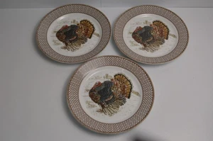 3 piatti insalata tacchino Williams Sonoma Plymouth Gate cena festa del ringraziamento - Foto 1 di 10