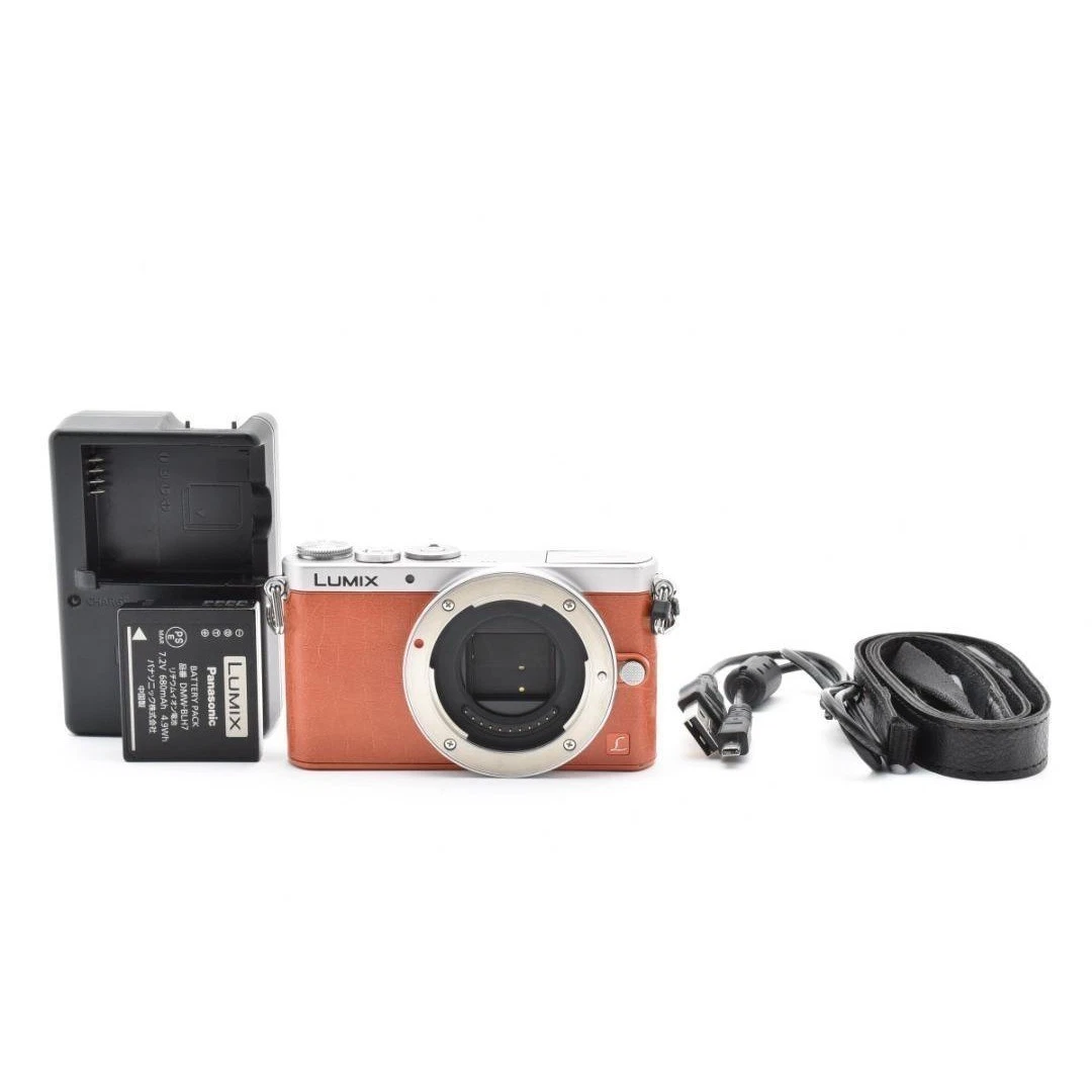 Panasonic LUMIX GM1 14-16.9MP Digital Cameras for Sale | Shop New