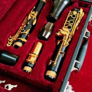 Wooden French Bb Clarinet with Box, 17 Keys - Picture 1 of 13
