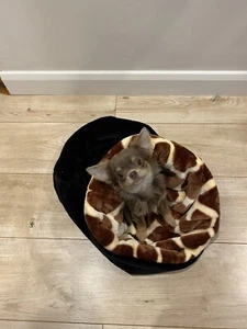 Luxury Snuggle Sack Chihuahua Puppy Cat Dachshund Designerpets - Picture 1 of 6