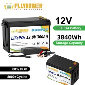 12V 300Ah LiFePO4 Battery 3840Wh Lithium Battery with 200A BMS for RV Camping    - Picture 1 of 16