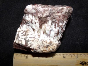 WEBERockin: Snow Plume Agate Rough Chunk 1 Pound 8 Ounces, Chihuahua Mexico - Picture 1 of 12