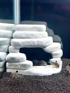 Aquarium Felsen Ecke Höhle Versteck Kuhli Loach Corydoras Wels Buntbarsch Versteck - Bild 1 von 11