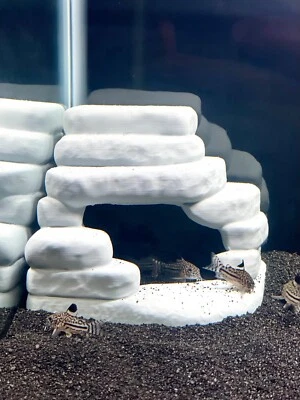 Aquarium Rock Corner Cave Hideout Kuhli Loach Corydoras Catfish Cichlid Hide - Image 1 of 4