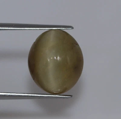 6.57 Ct Green Natural Cat’s Eye Chrysoberyl Certified Loose Oval Cab Gemstone - Image 1 of 4