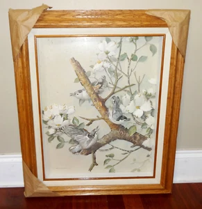 VINTAGE Basil Ede White Breasted Nuthatches 3D Art Print Shadow Box - Picture 1 of 4