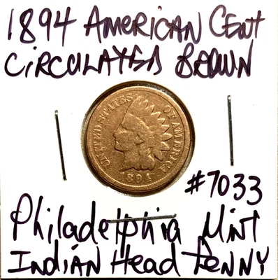 1891 American Indian Head Cent Circulated Brown Philadelphia Mint - Image 1 of 4