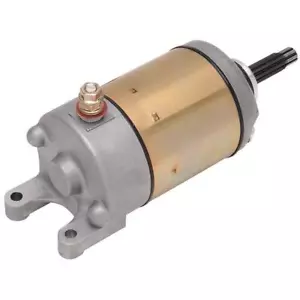 Ricks Electric Starter Motor Honda TRX400EX FourTrax TRX400EX Sportrax - Picture 1 of 1