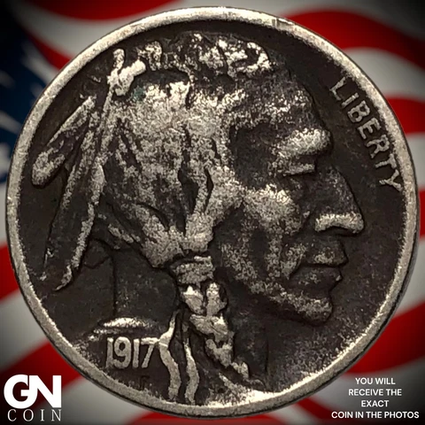 1917 D Buffalo Nickel  Q2937 Cover