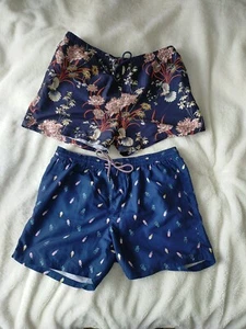 A Pair of Mens Swimming Trunks Lined Shorts XL and L - Picture 1 of 8
