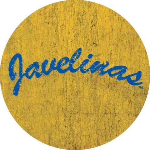 TEXAS A&M KINGSVILLE 4" VINTAGE STYLE MAGNET-TEXAS AM KINGSVILLE 4" ROUND MAGNET Cover