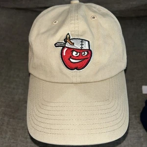 47 Brand Fort Wayne Tincaps Mütze Beige One Size MLB Minor League Cap - Bild 1 von 5