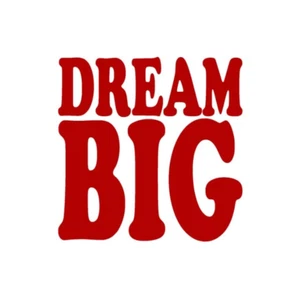 Dream Big Vinyl Sticker decal RED GLOSS 10 x 10 cm - Picture 1 of 2