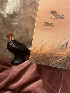 Wild Country Avon Aftershave Quail - Picture 1 of 12