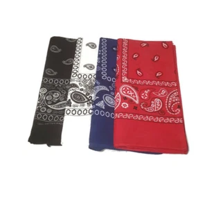 4 Pcs Bandana Scarves Paisley Head Face Mask Wrap Scarf 100% Cotton - Picture 1 of 1
