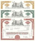Set of 3 Madison Square Garden Corp. - Famous Arena Stock Certificate - General 