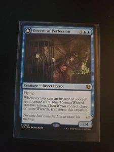 Docent of Perfection // Final Iteration INR 0062 - Picture 1 of 2