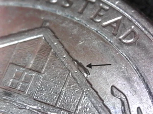 Lot of 3 Quarter Errors, Snowy Roof + 2016 P DDR + 2013 DDR - Picture 1 of 9