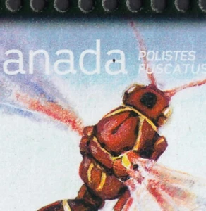 qq. Error/Variety = BROKEN "A" = Full Sheet 50. Pos.42 Canada 2010 #2406 ec423 - Picture 1 of 4
