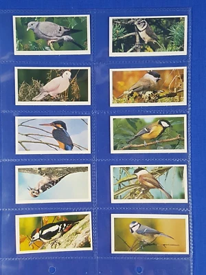 Craven Black Cat Cigarette cards BRITISH BIRDS - Set of 50 in sleeves - Image 1 of 4