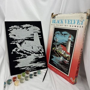 Vtg Craft House Black Velvet Oil Paint by Number Set Lighthouse Birds READ - Picture 1 of 7