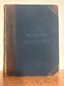 McClellans regionale Anatomie Band I, George McClellan, 1891, 53 Platten. - Bild 1 von 9