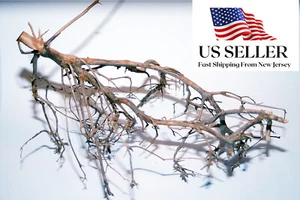 NATURAL DRIFTWOOD #BS009 WYSIWYG - AQUASCAPING, SUPER PRICE!!! BONSAI TREE DECOR - Picture 1 of 4