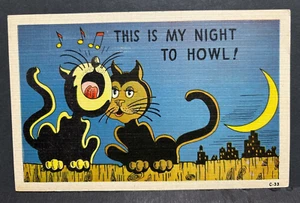 Postkarte Comic Meine Nacht zum Heulen schwarze Katzen unbespielt - Bild 1 von 2
