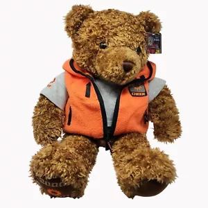 Edición Limitada Gund 24" Wish Bear Cheer Teddy Bear 2000-2001 Naranja Sudadera con Capucha - Imagen 1 de 12