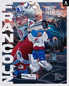 Foto de hockey de la NHL Pavel Francouz collage de jubilación Colorado Avalanche 8x10 - Imagen 1 de 1