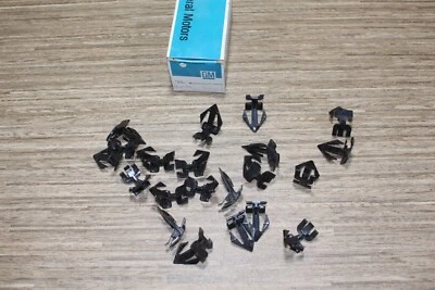 GM NOS 20007308 Clips de moldura de ventana trasera 20 piezas Buick Pontiac Oldsmobile Cad Foto 1 de 4