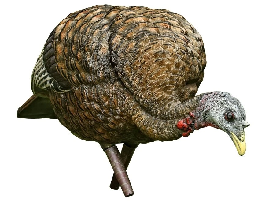 Avian-X LCD Feeder Hen Collapsible Turkey Decoy AVI-8007 - Image 1 of 1
