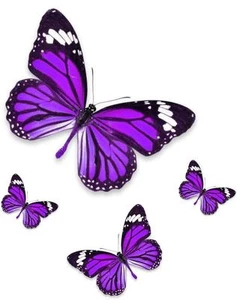 Set 4x autocollant sticker voiture moto papillon violet - Picture 1 of 1