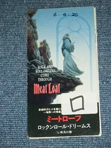 FLEISCHBROT nur 1993 groß 3" CD Single ROCK AND ROLL DREAMS KOMMEN DURCH - Bild 1 von 5