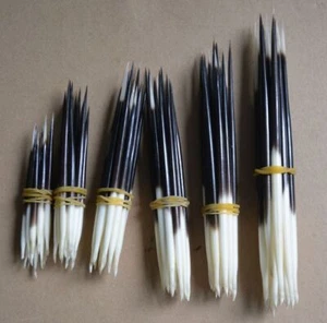 10x Porcupine Quills Jewelry Craft Hair Stick Weaving Beading Assorted Craft DIY - Picture 1 of 2