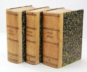 Rarissimi Libri Antichi in Latino Gennaro De Vivo Disputa Teologico 1883 - Foto 1 di 24