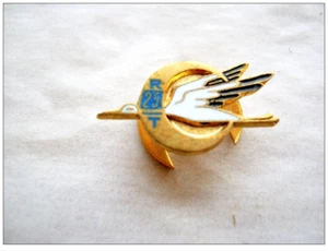 RARE ANCIENNE BOUTONNIERE EMAIL DU 25° RTA TIRAILLEURS ALGERIENS ARTHUS BERTRAND - Picture 1 of 2