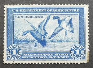 RW1 Federal Duck Hunting Stamp 1934 MNH OG Migratory Bird Stamp WELL CENTERED - Picture 1 of 2
