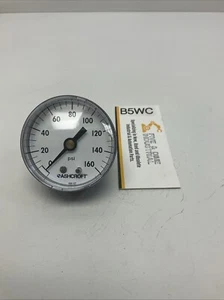 Ashcroft 20W1005PH-02B 2-1/2'' Steel Case Gauge 160PSI, 1/4'' NPT, Brass - Picture 1 of 6