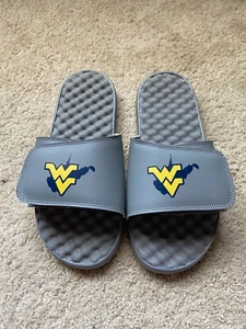 ISlide Grey Custom Flying WV with State Outline Slides - Size 9 - Picture 1 of 4