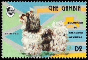 GAMBIA 1400a - Royal Dog Pets "Shih Tzu" (pc10460) - Bild 1 von 1