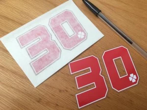 Takaaki Nakagami Race Number 30 (Small Pair) - Red - Picture 1 of 1