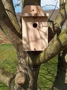 Wren Birdhouse 5/8 cedar New Handmade Kit - Picture 1 of 5