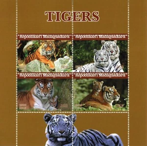 Madagascar 2020 CTO Wild Animals Stamps Tigers Tiger Fauna 4v M/S - Picture 1 of 1