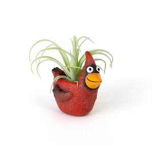 Blobhouse Ruby Red Cardinal Planter - Picture 1 of 1