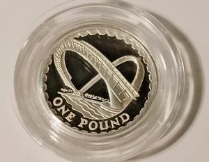 Royal Mint UK Silber PP 2007 £1.00 Münze ohne COA - Bild 1 von 2