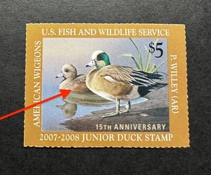 Estampillas WTD - #JDS15 2007 - Estampilla de pato junior de Estados Unidos - MNH **ERROR DE DEFECTO DE IMPRESIÓN** - Imagen 1 de 4