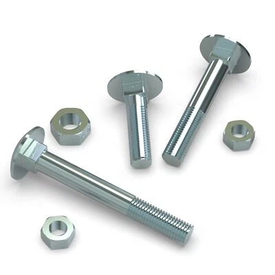 10 50 O 100 Viti A Testa Piatta M5 M6 M8 M10 M12 + Dadi - Immagine 1 di 4