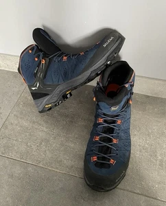 Chaussures techniques Salewa Gore Tex MS Alp Trainer 2 taille 47 neuf - Imagen 1 de 9